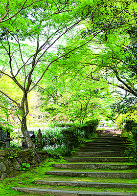 祇園祭（大蛇山）